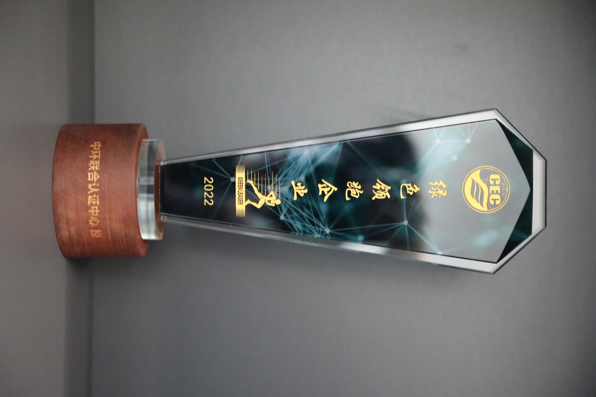 美巢深耕家裝環(huán)保輔料賽道，榮獲“綠色領(lǐng)跑企業(yè)”稱號
